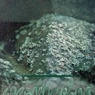 weathering-web.jpg