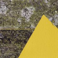 Vitality ©2012.jpg