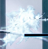 base_0003.jpg