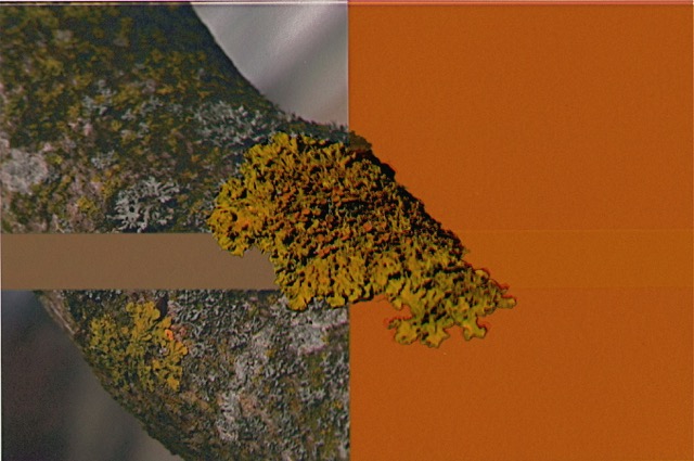 Loading Image