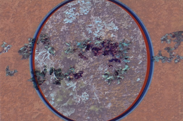 Loading Image