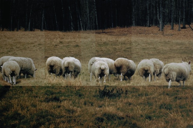 Loading Image