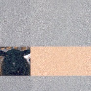 In a Field.jpg